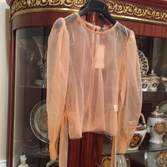 Zara See through puff sleeve nylon top with tie - Picture 3 of 9